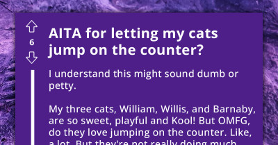 Girlfriend Nags Boyfriend for Encouraging Bad Behavior by Letting Their Kittens Jump on the Counter, Calls Him Bad Cat Parent
