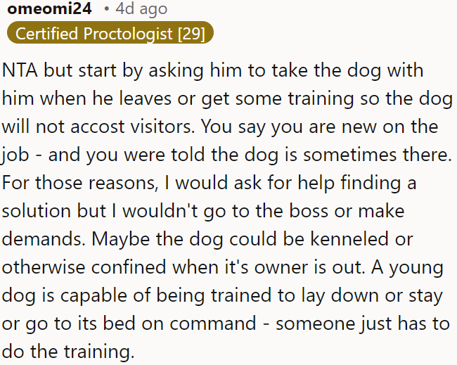 OP can ask him to take the dog with him or train it to avoid bothering visitors.