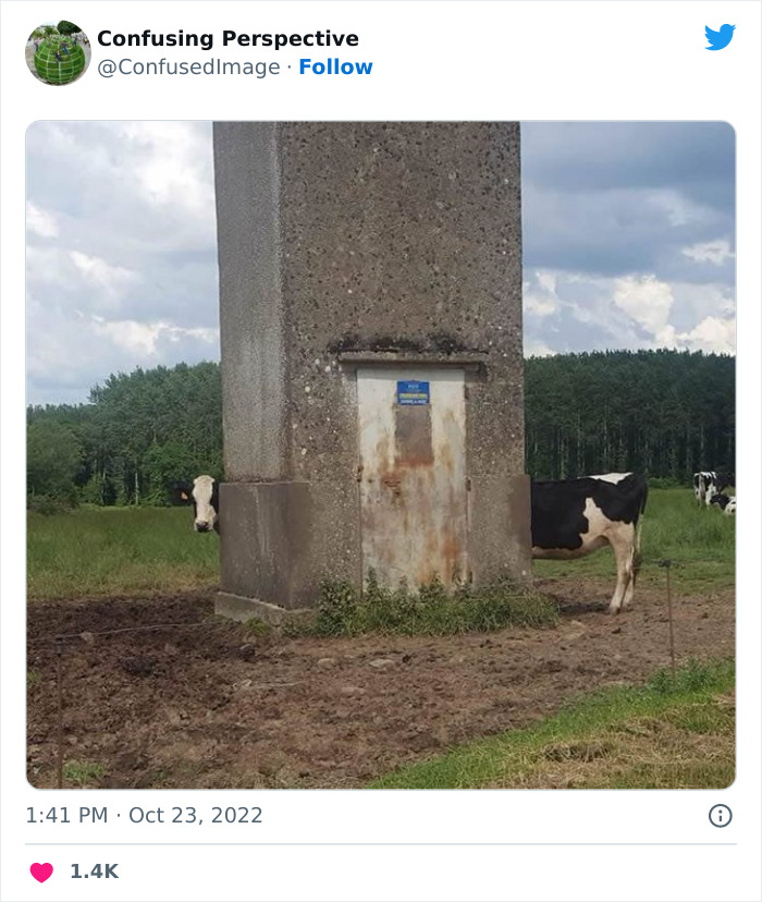 2. That is one long cow