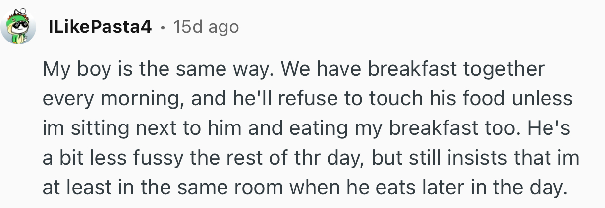 “Lol, Cats Are Weird. My Old Cat Somehow Learned To Tell Time On A Big Clock We Had On The Wall.”