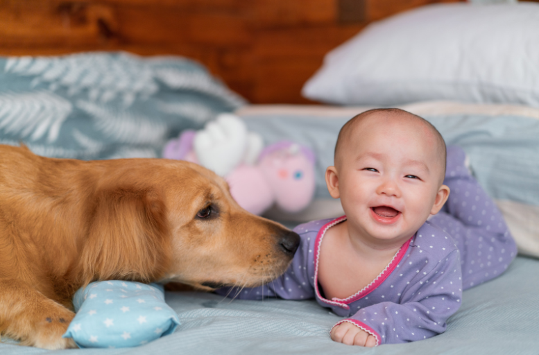 Never leave the baby alone with a dog.