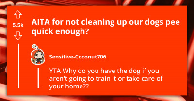 Woman Blames Depression For Not Cleaning Up After Her Dog