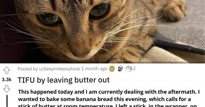 Redditor Recalls How Her Cat Got Butter Drunk After Licking Clean A Stick Of Butter She Left Unattended