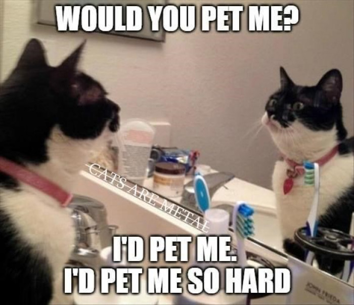 12. Damn right, you got that right