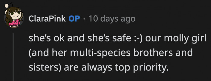 OP sounds like a good pet owner