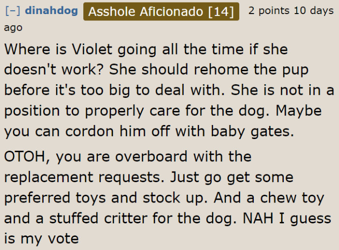 Redditors believe that the stepdaughter isn't ready to take care of the puppy.