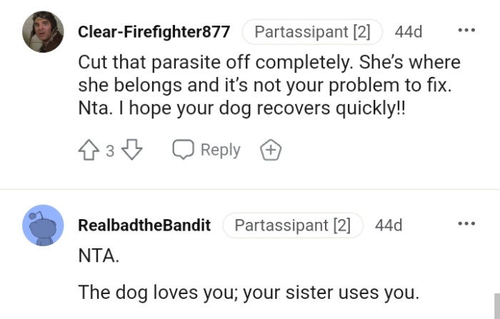 This Redditor hopes the OP's dog gets well soon