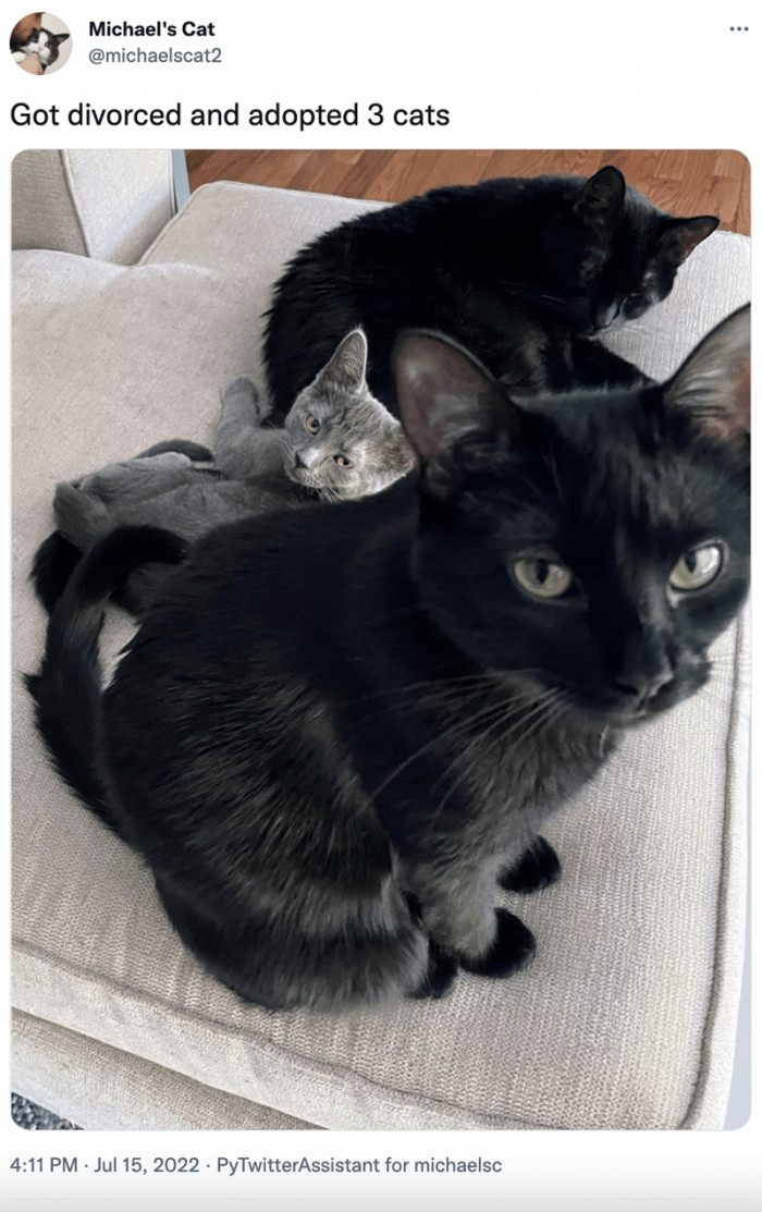 9. Divorced but not deterred