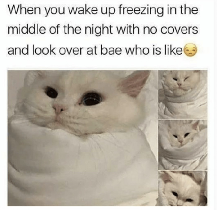 12. Lol... Your bae took the whole sheet!