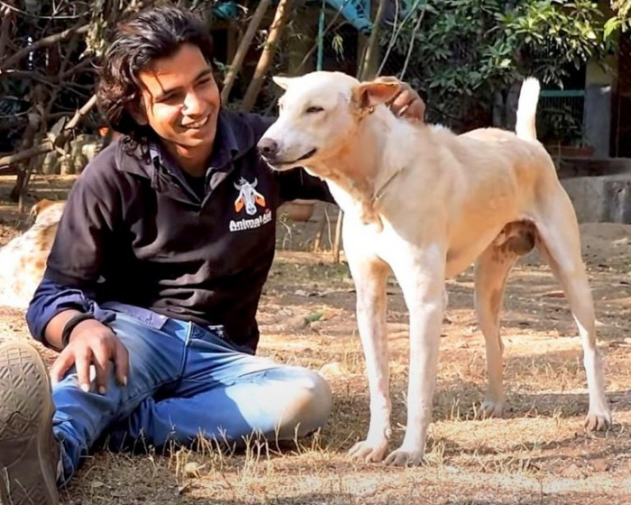 The dog miraculously transformed after 2 weeks of intensive care