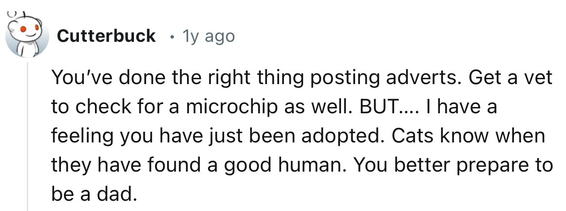 “I have a feeling you have just been adopted. Cats know when they have found a good human.”