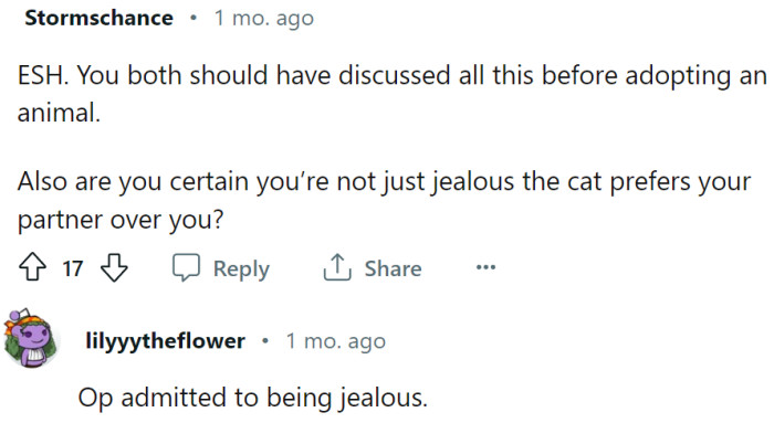 They should've discussed it before getting a cat.