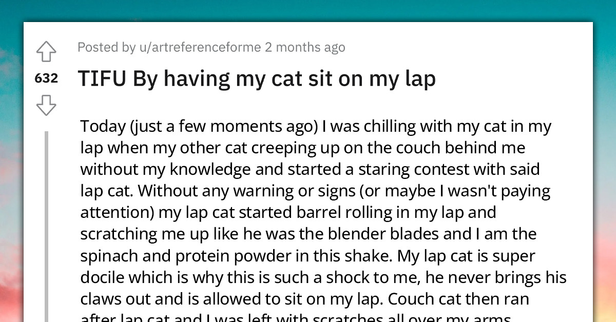 Man Shares Story Of How His Cat Scratched Him While Chilling On His Laps, Redditors Welcomes Him To The Club