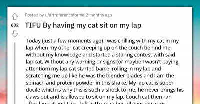 Man Shares Story Of How His Cat Scratched Him While Chilling On His Laps, Redditors Welcome Him To The Club