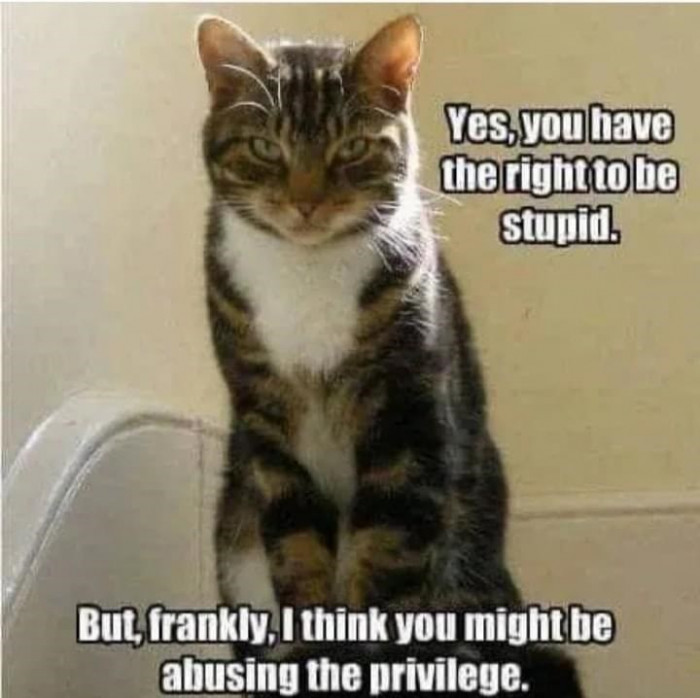 14. When you are abusing the 'stupid' privilege...