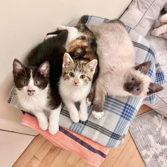 From spicy to decency