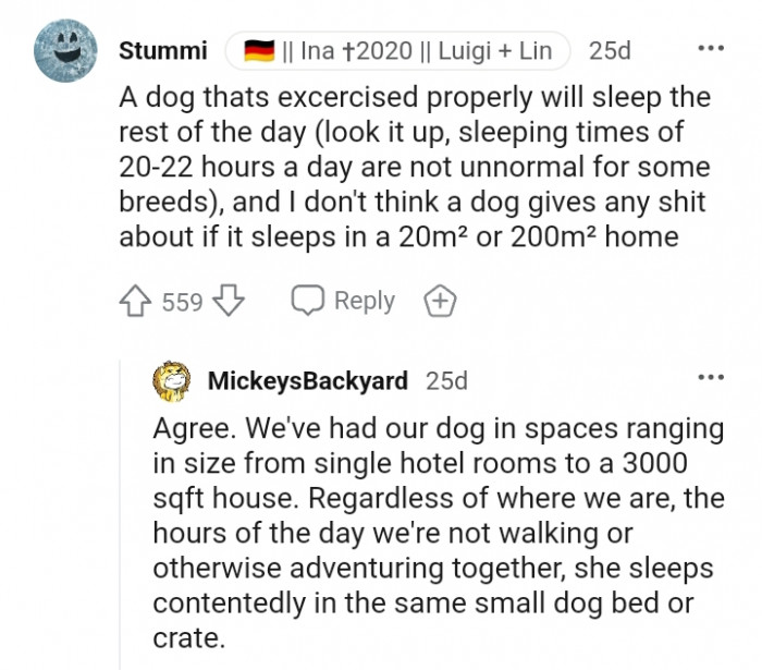 A properly exercised dog will sleep all through