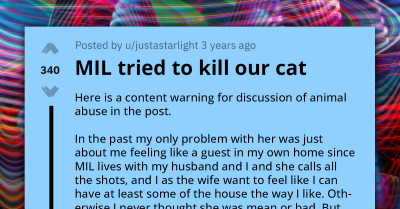 Devastated Woman Shares How Her Toxic, Cat-Hating Mother-in-Law Tried to Kill Their Kitten