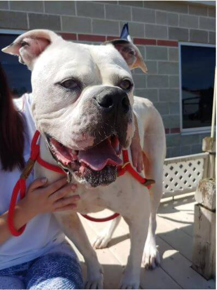 He broke everyone’s heart with his sad and confused face