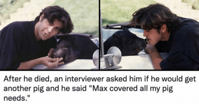 This Twitter Thread About George Clooney's Pet Pig Max Will Make Your Day