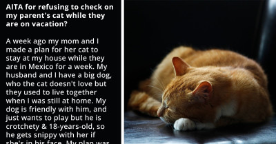 Redditor Refuses To Drive Two Hours Every Day To Check On Their Parent's Cat