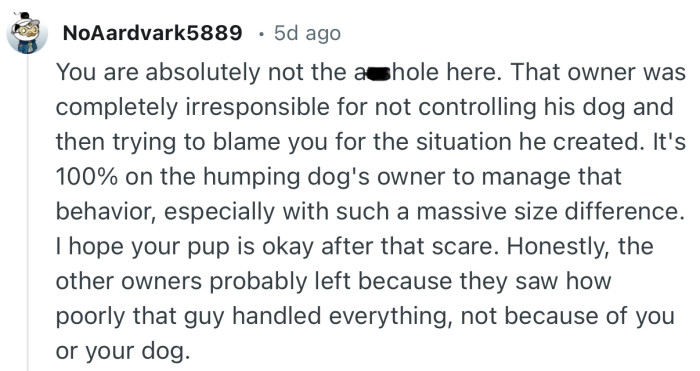 “That owner was completely irresponsible for not controlling his dog and then trying to blame you for the situation he created.”