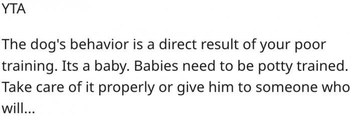 1. The dog's behavior shows she's an irresponsible dog owner.