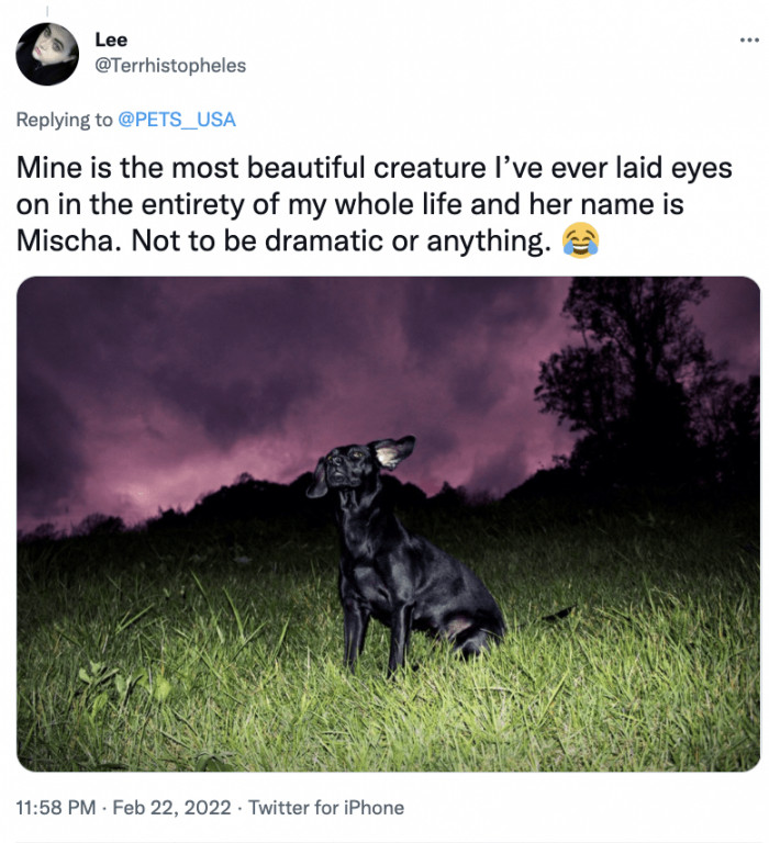 14. One look at Mischa, and you’ll have all the answers you could ever need.