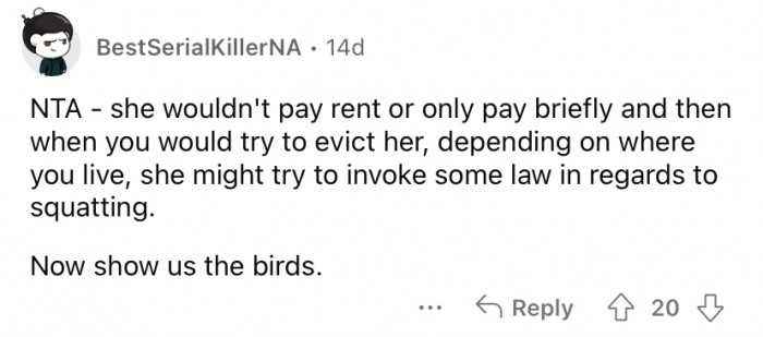 Okay, but show us the birds!