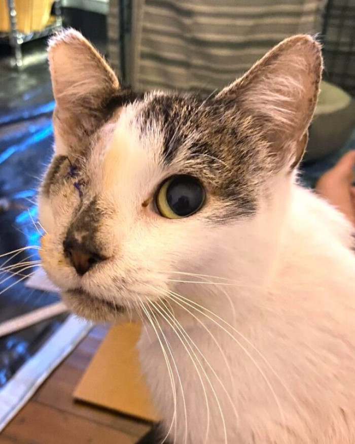 Meet Benny, the fighter...