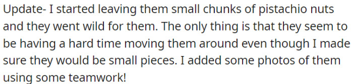 They love the pistachio nuts, but moving the small pieces is a challenge.