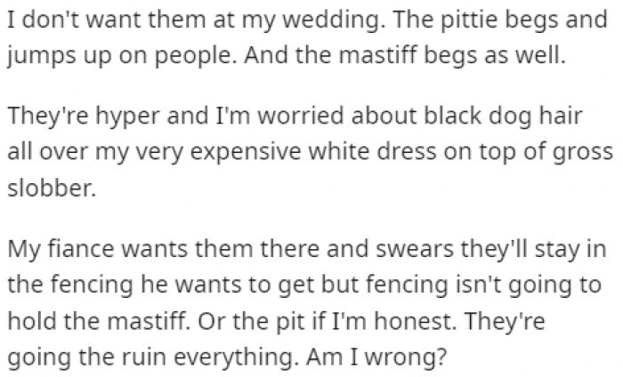 She believes the dogs will make a huge mess at the wedding, even if they try to fence them in as the groom suggested.