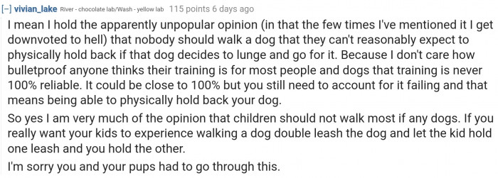 As a general rule, if people can't physically halt their dogs, they shouldn't be walking their pets around.