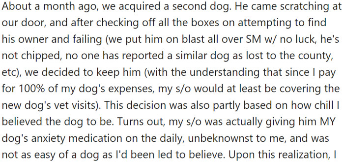 OP recently acquired a second dog, who came scratching at their door. OP decided to keep the dog, with the understanding that their partner would pay for the new dog's vet visits.