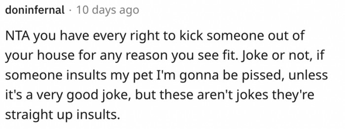 10. If You Are Going to Make Jokes About Pets, Better Make Sure They Are Funny. And That They Sound Like Jokes - Not Just Mean Comments.