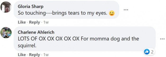 This commenter is already teary