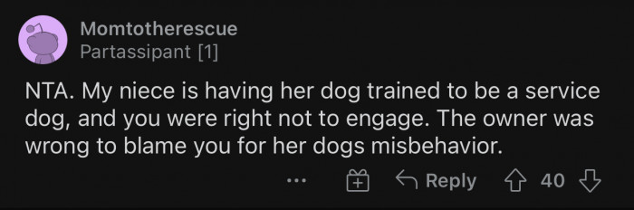 The owner had no right to blame OP for her dog's behavior.