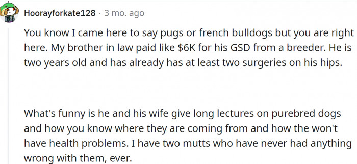 French bulldogs also have issues