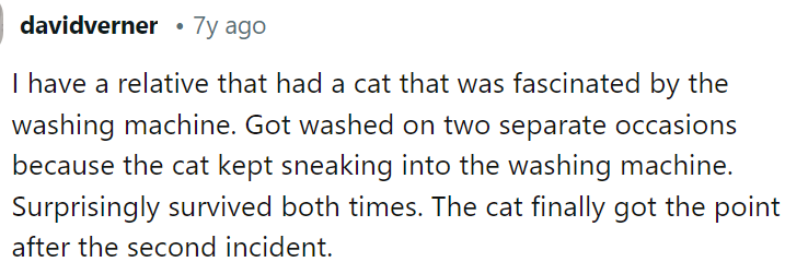I can imagine the cat was trying for a second time thinking something went wrong the first time, but now it knows that's just how a washing machine is.