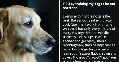 Reddit Comments That Show How Teaching Dogs To Be Too Obedient Can Be Troublesome