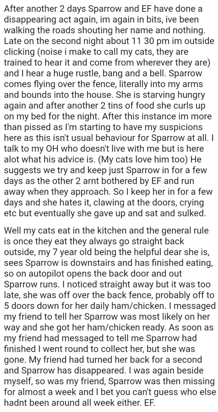 The OP is starting to have her suspicions, as this isn't usual behavior for her cat at all