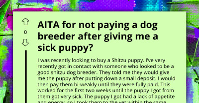 Redditor Dragged Through Mud For Refusing To Pay Dog Breeder For Sick Dog