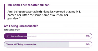 Grandma Loves Her Grandson So Much She Named a Kitten After Him, but the Child's Parents Found It Odd
