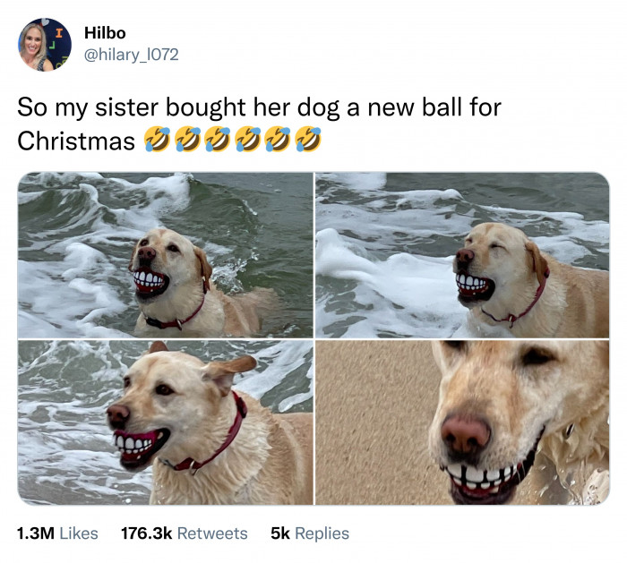 1. The perfect ball to confuse everyone at the beach.