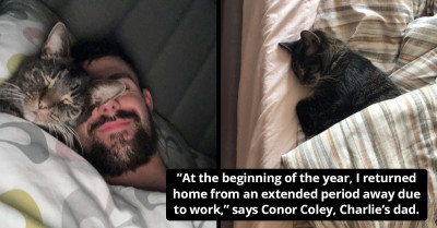 Old Rescue Cat Won’t Let Her Beloved Dad Sleep Alone