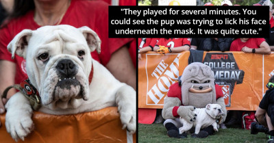 This Little Bulldog Is Happy Beyond Words Because He Finally Got To Meet His Hero