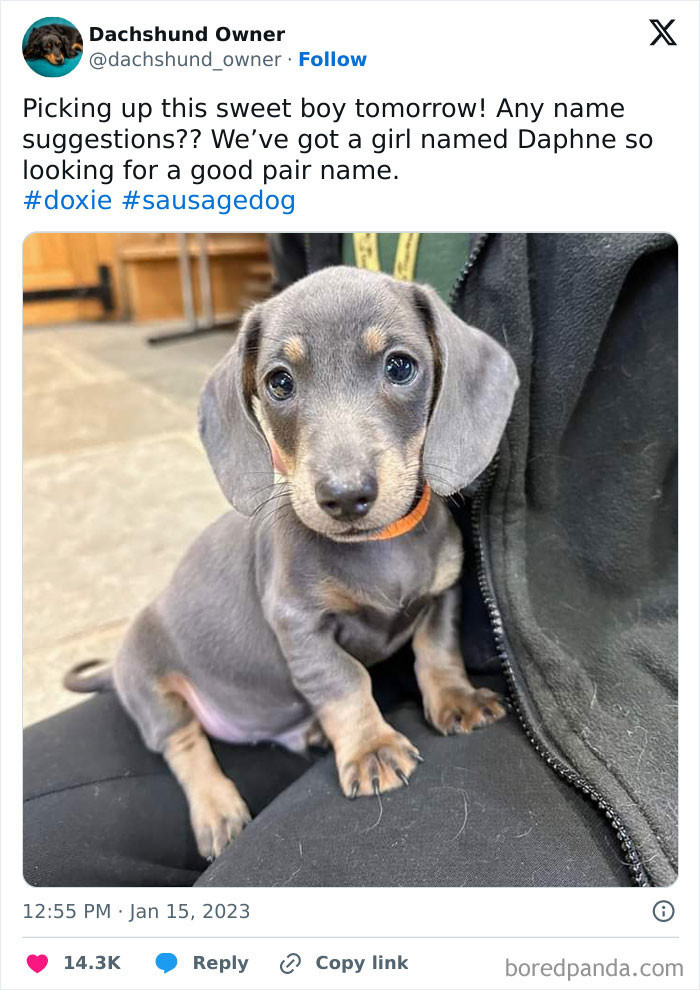 "Your Little Guy Is Adorable"
