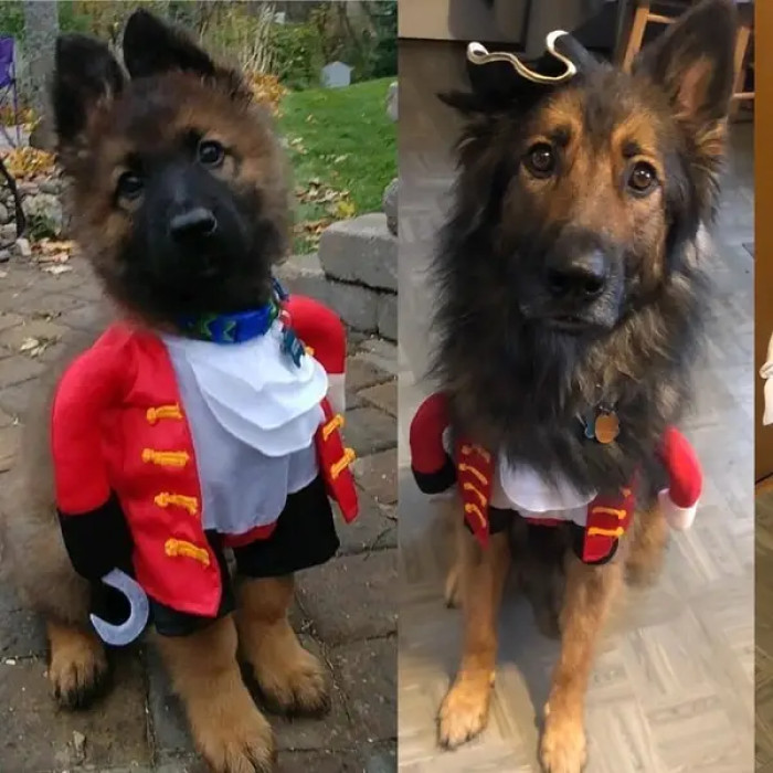 13. Grux has looked gorgeous since the beginning.