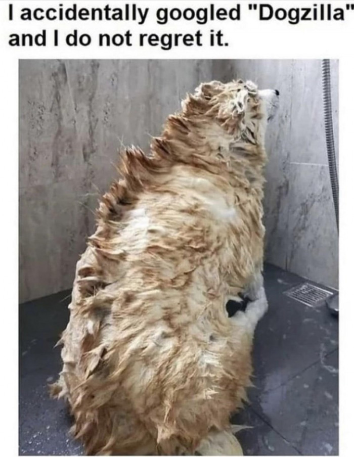 3. No regrets whatsoever.