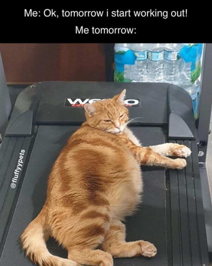 6. Well, at least you tried.